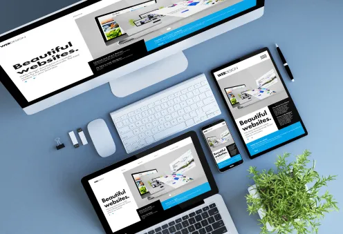 6 Month Web Development -WordPress Development